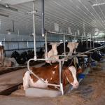 2017OTRA-1_423 (August 24, 2017)